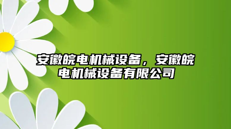 安徽皖電機(jī)械設(shè)備，安徽皖電機(jī)械設(shè)備有限公司