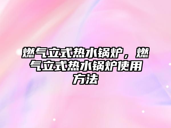 燃?xì)饬⑹綗崴仩t，燃?xì)饬⑹綗崴仩t使用方法