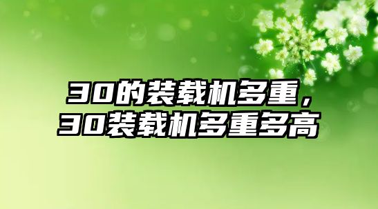 30的裝載機(jī)多重，30裝載機(jī)多重多高