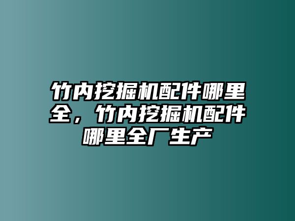 竹內(nèi)挖掘機(jī)配件哪里全，竹內(nèi)挖掘機(jī)配件哪里全廠生產(chǎn)