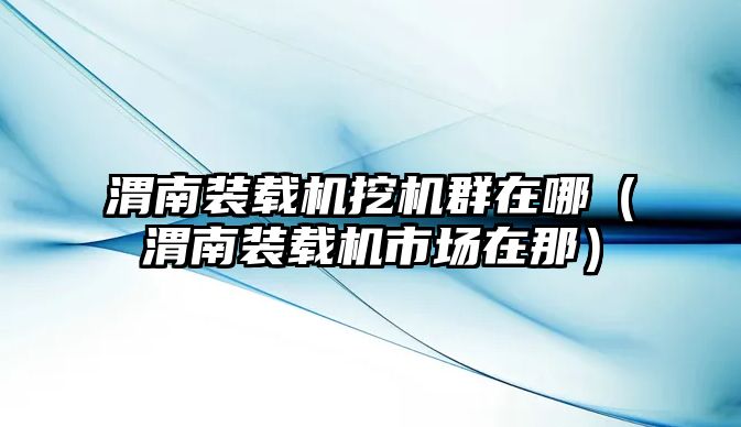 渭南裝載機(jī)挖機(jī)群在哪（渭南裝載機(jī)市場(chǎng)在那）