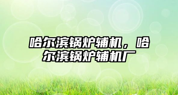 哈爾濱鍋爐輔機，哈爾濱鍋爐輔機廠