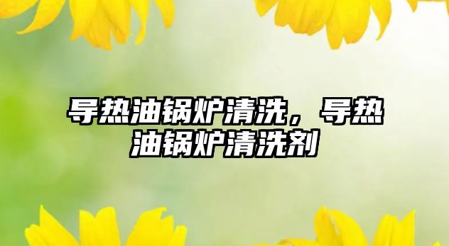 導(dǎo)熱油鍋爐清洗，導(dǎo)熱油鍋爐清洗劑