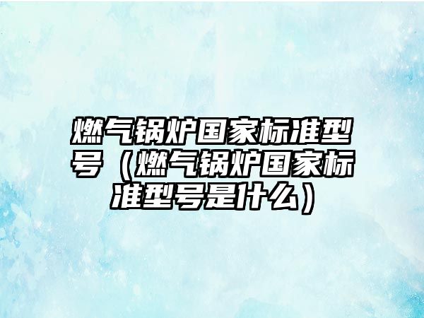 燃?xì)忮仩t國家標(biāo)準(zhǔn)型號（燃?xì)忮仩t國家標(biāo)準(zhǔn)型號是什么）