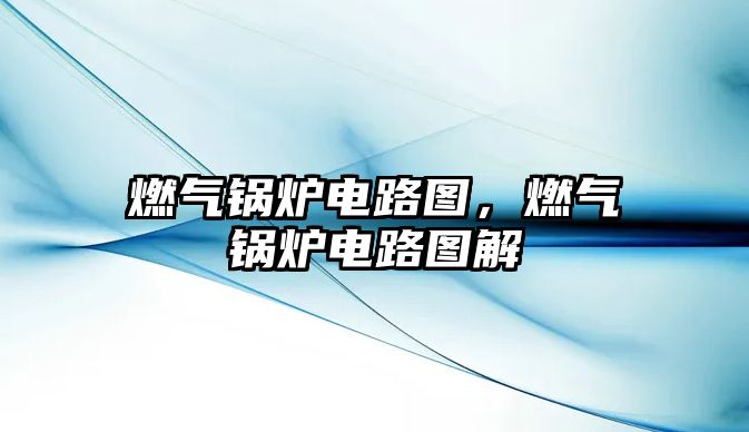 燃?xì)忮仩t電路圖，燃?xì)忮仩t電路圖解