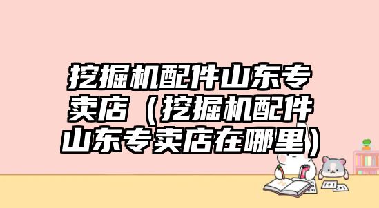 挖掘機(jī)配件山東專賣(mài)店（挖掘機(jī)配件山東專賣(mài)店在哪里）