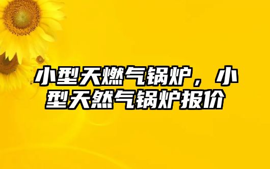 小型天燃氣鍋爐，小型天然氣鍋爐報價