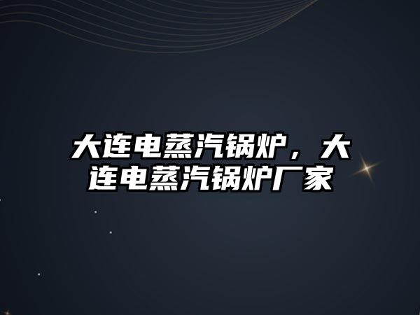 大連電蒸汽鍋爐，大連電蒸汽鍋爐廠(chǎng)家