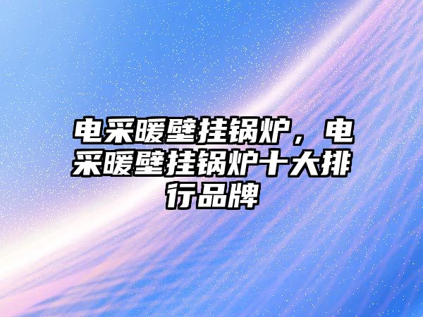 電采暖壁掛鍋爐，電采暖壁掛鍋爐十大排行品牌