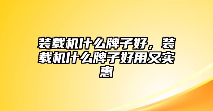 裝載機(jī)什么牌子好，裝載機(jī)什么牌子好用又實惠