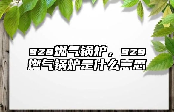 szs燃?xì)忮仩t，szs燃?xì)忮仩t是什么意思