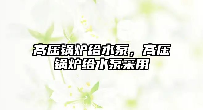 高壓鍋爐給水泵，高壓鍋爐給水泵采用