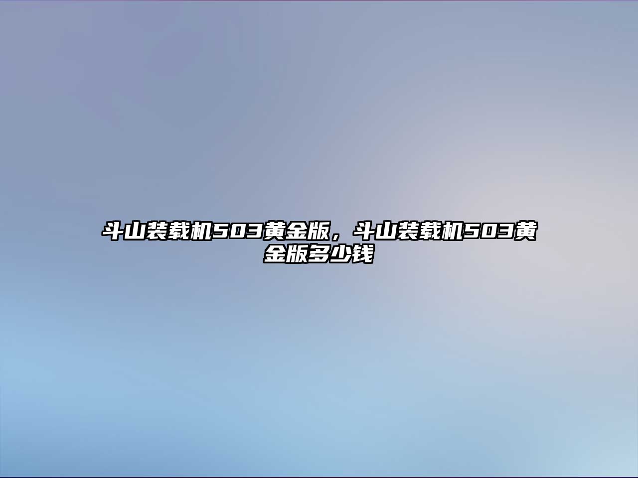 斗山裝載機(jī)503黃金版，斗山裝載機(jī)503黃金版多少錢(qián)