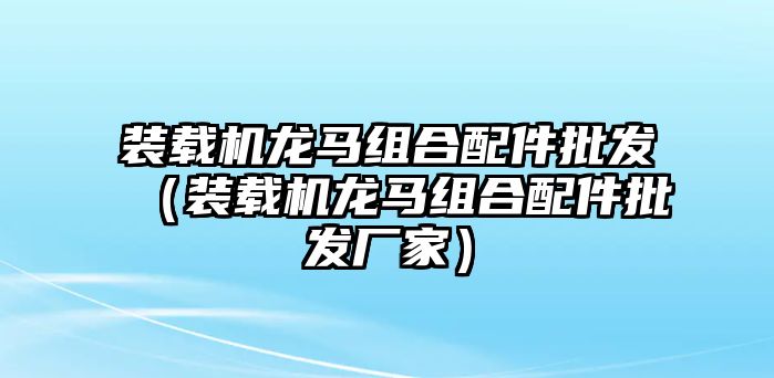 裝載機(jī)龍馬組合配件批發(fā)（裝載機(jī)龍馬組合配件批發(fā)廠家）