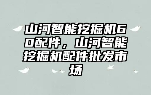 山河智能挖掘機(jī)60配件，山河智能挖掘機(jī)配件批發(fā)市場