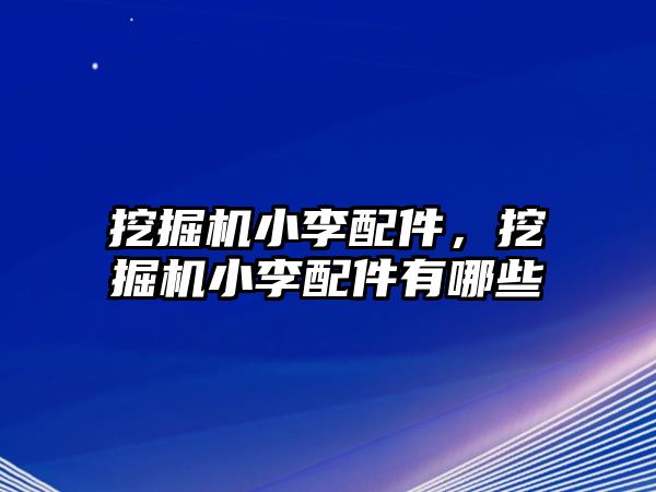 挖掘機小李配件，挖掘機小李配件有哪些