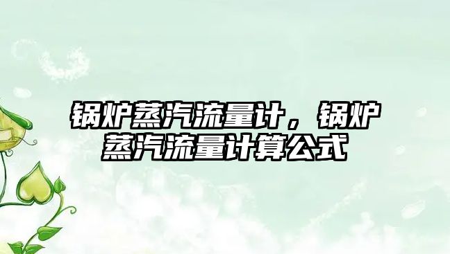 鍋爐蒸汽流量計(jì)，鍋爐蒸汽流量計(jì)算公式