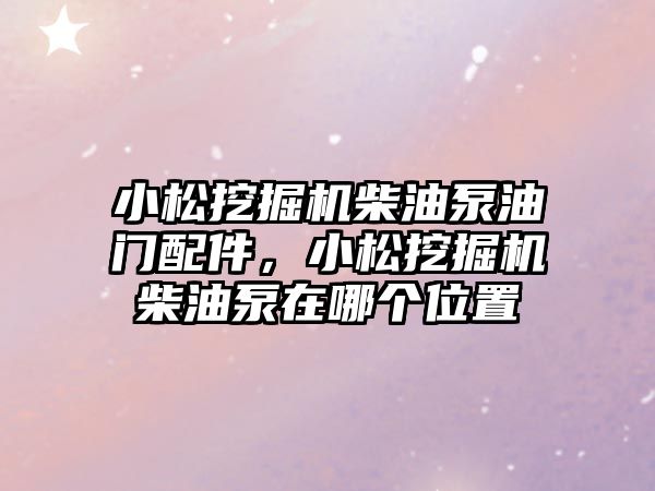 小松挖掘機柴油泵油門配件，小松挖掘機柴油泵在哪個位置