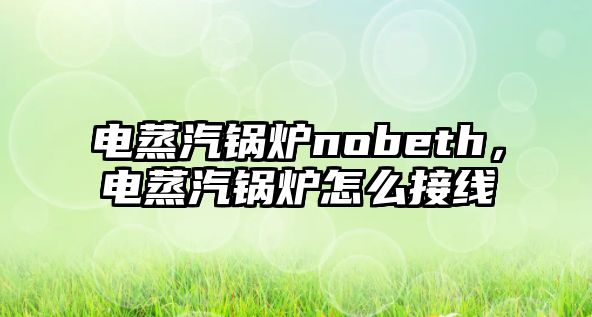 電蒸汽鍋爐nobeth，電蒸汽鍋爐怎么接線