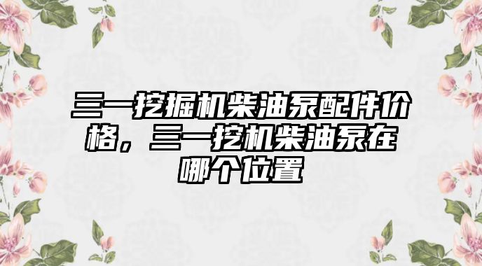 三一挖掘機柴油泵配件價格，三一挖機柴油泵在哪個位置