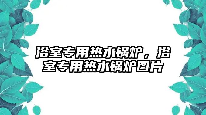 浴室專用熱水鍋爐，浴室專用熱水鍋爐圖片