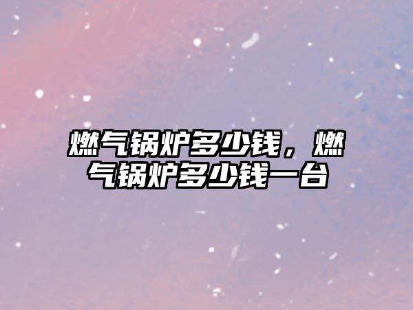 燃?xì)忮仩t多少錢，燃?xì)忮仩t多少錢一臺(tái)