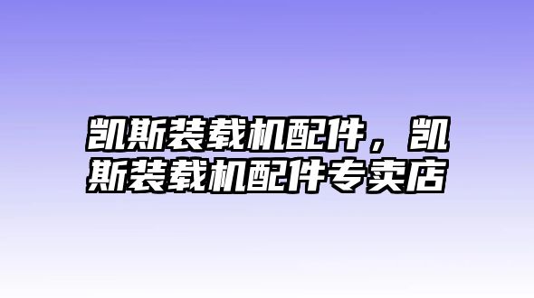 凱斯裝載機配件，凱斯裝載機配件專賣店