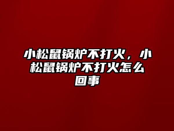 小松鼠鍋爐不打火，小松鼠鍋爐不打火怎么回事