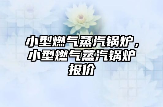 小型燃?xì)庹羝仩t，小型燃?xì)庹羝仩t報(bào)價(jià)