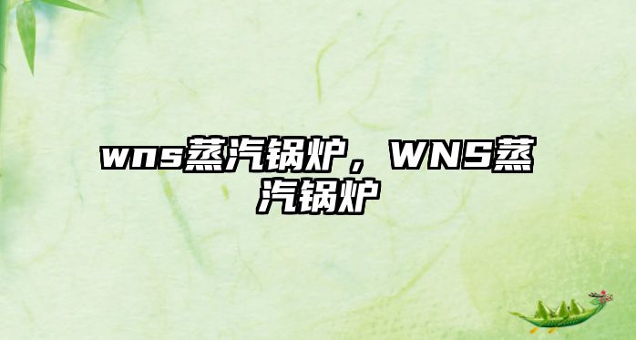 wns蒸汽鍋爐，WNS蒸汽鍋爐