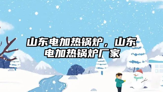 山東電加熱鍋爐，山東電加熱鍋爐廠家