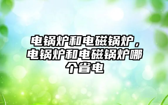 電鍋爐和電磁鍋爐，電鍋爐和電磁鍋爐哪個(gè)省電