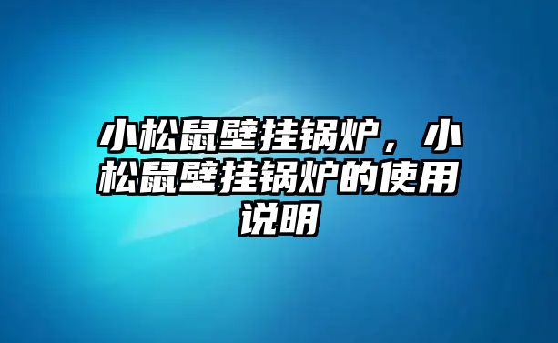 小松鼠壁掛鍋爐，小松鼠壁掛鍋爐的使用說(shuō)明