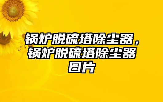 鍋爐脫硫塔除塵器，鍋爐脫硫塔除塵器圖片