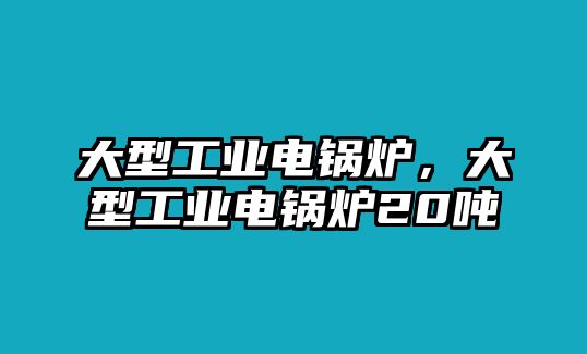 大型工業(yè)電鍋爐，大型工業(yè)電鍋爐20噸