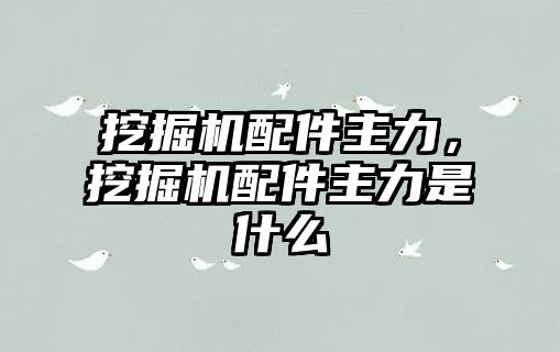 挖掘機(jī)配件主力，挖掘機(jī)配件主力是什么