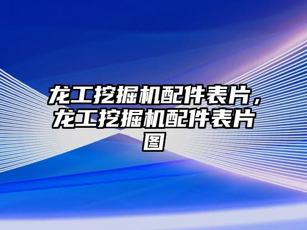 龍工挖掘機配件表片，龍工挖掘機配件表片圖