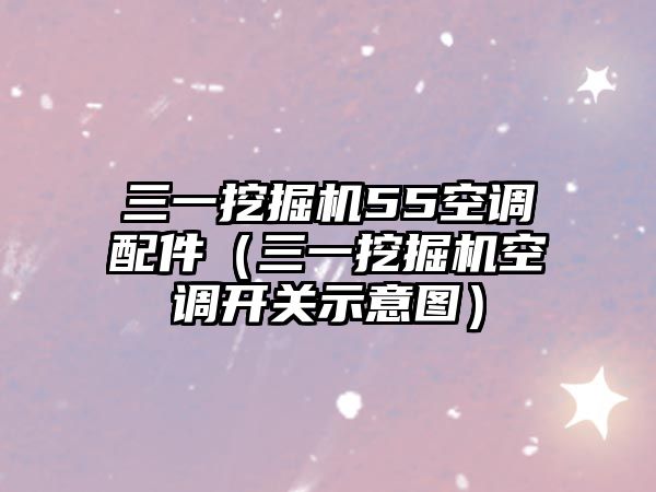 三一挖掘機55空調配件（三一挖掘機空調開關示意圖）