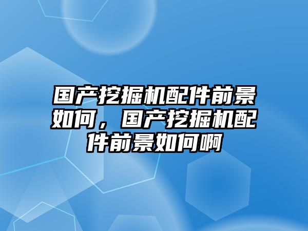 國產(chǎn)挖掘機配件前景如何，國產(chǎn)挖掘機配件前景如何啊