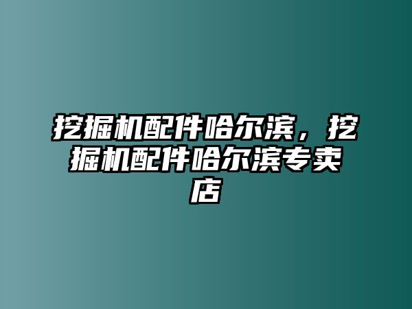 挖掘機配件哈爾濱，挖掘機配件哈爾濱專賣店