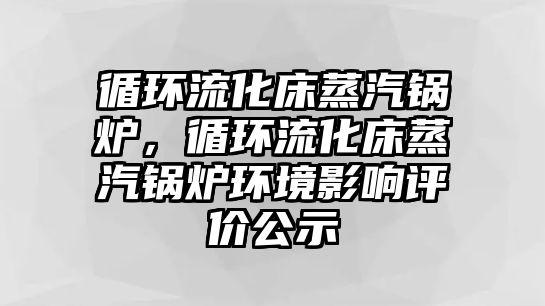 循環(huán)流化床蒸汽鍋爐，循環(huán)流化床蒸汽鍋爐環(huán)境影響評價公示