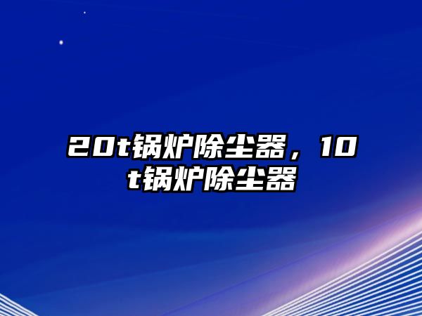 20t鍋爐除塵器，10t鍋爐除塵器