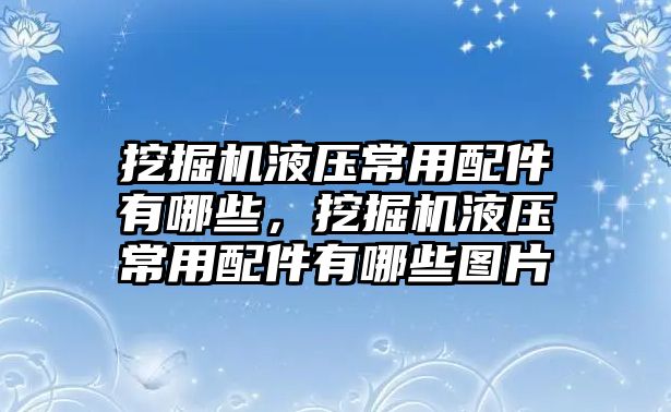 挖掘機液壓常用配件有哪些，挖掘機液壓常用配件有哪些圖片