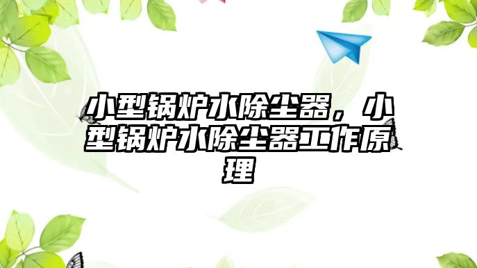 小型鍋爐水除塵器，小型鍋爐水除塵器工作原理