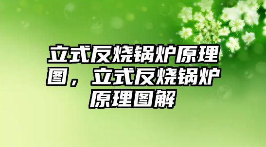 立式反燒鍋爐原理圖，立式反燒鍋爐原理圖解