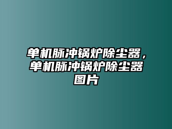 單機脈沖鍋爐除塵器，單機脈沖鍋爐除塵器圖片