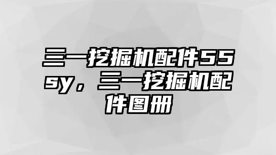 三一挖掘機(jī)配件55sy，三一挖掘機(jī)配件圖冊(cè)