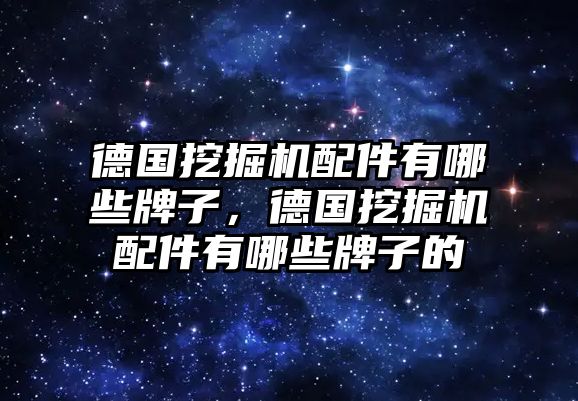 德國挖掘機配件有哪些牌子，德國挖掘機配件有哪些牌子的