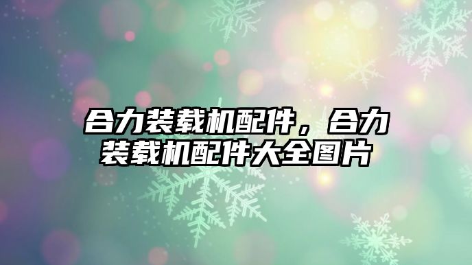 合力裝載機配件，合力裝載機配件大全圖片