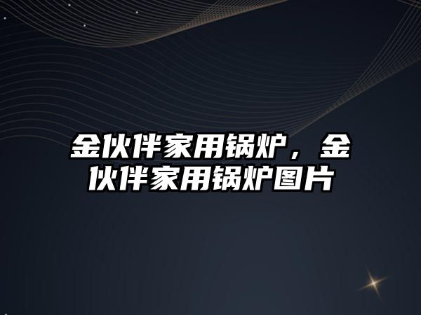 金伙伴家用鍋爐，金伙伴家用鍋爐圖片